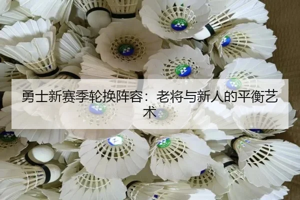 勇士新赛季轮换阵容：老将与新人的平衡艺术